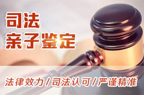 盐城司法亲子鉴定如何做,盐城司法DNA亲子鉴定预约流程